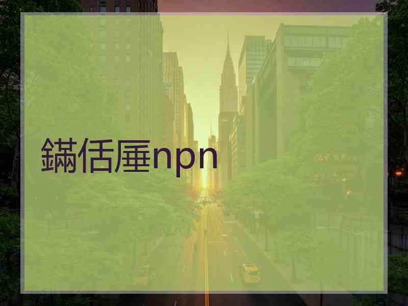 鏋佸厜npn