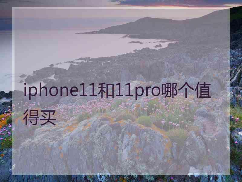 iphone11和11pro哪个值得买