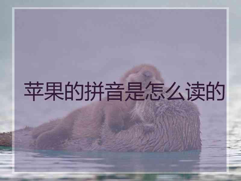 苹果的拼音是怎么读的