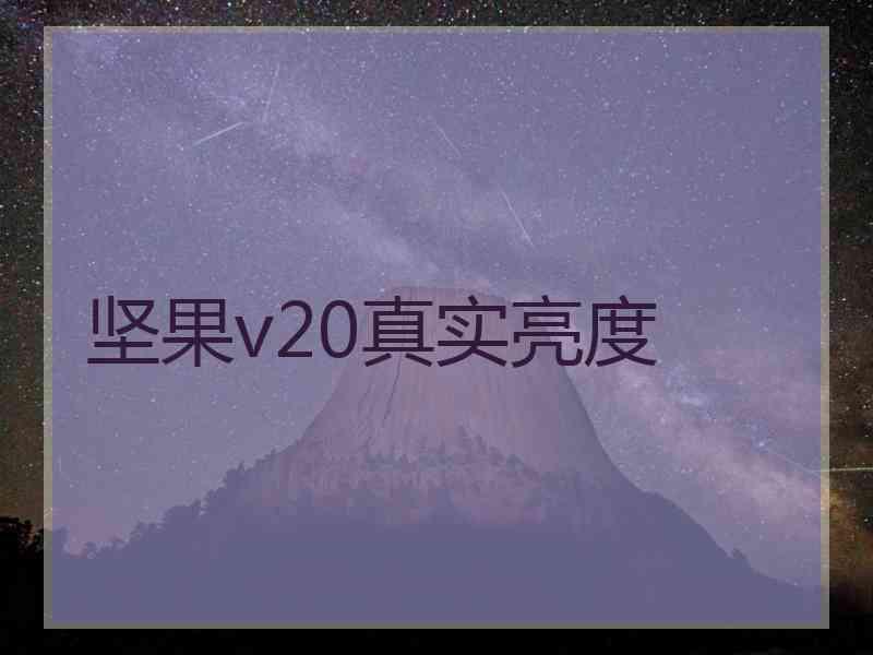 坚果v20真实亮度