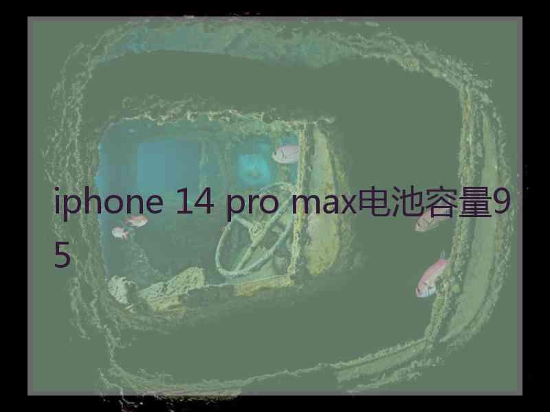 iphone 14 pro max电池容量95