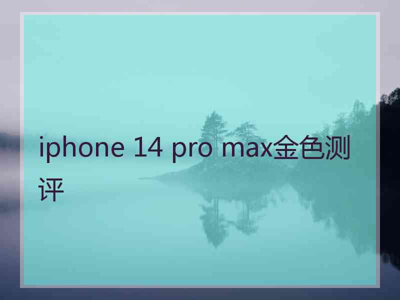 iphone 14 pro max金色测评