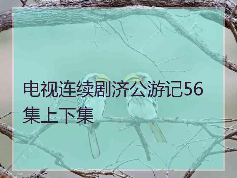 电视连续剧济公游记56集上下集