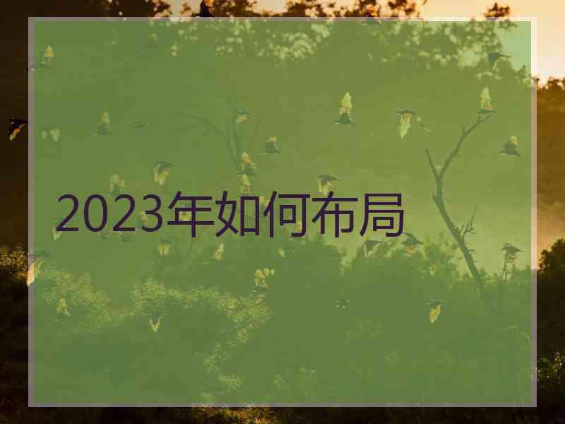 2023年如何布局