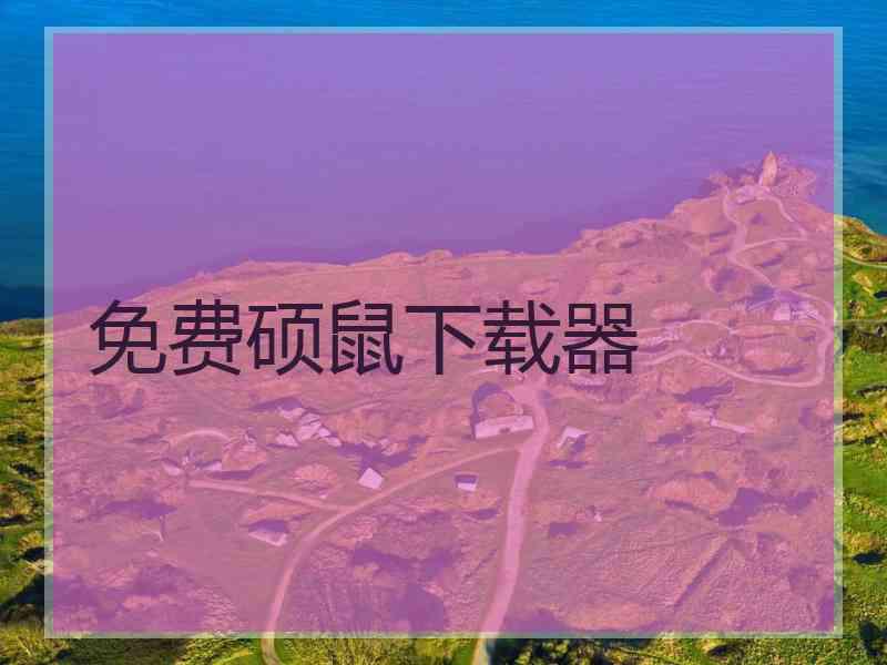 免费硕鼠下载器