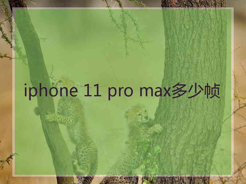 iphone 11 pro max多少帧