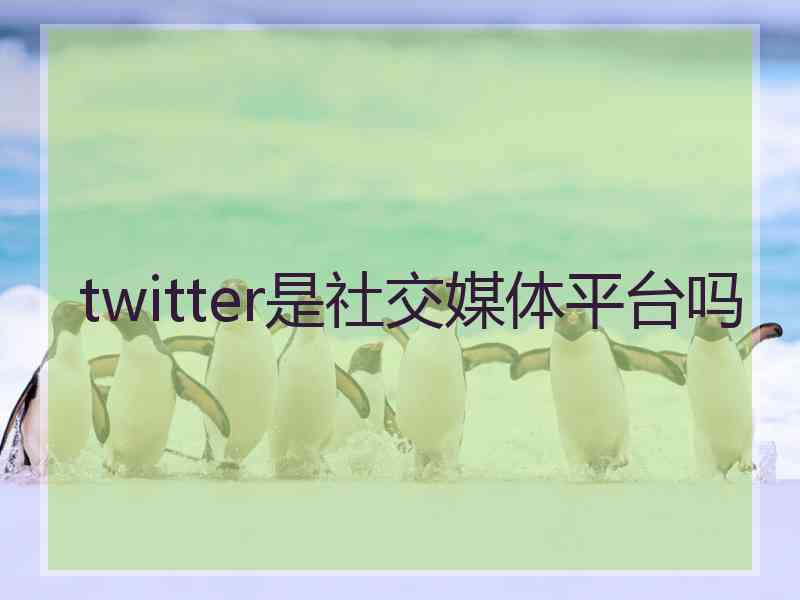 twitter是社交媒体平台吗