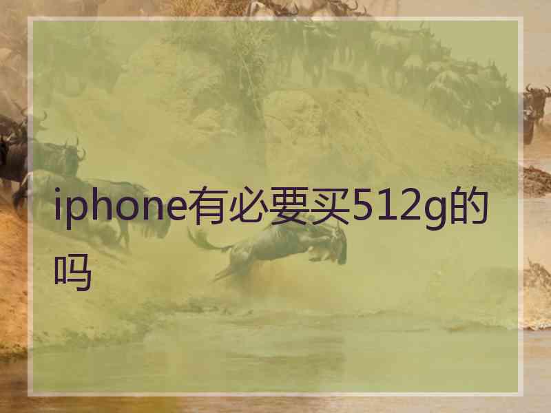 iphone有必要买512g的吗