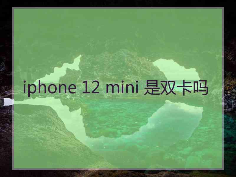 iphone 12 mini 是双卡吗