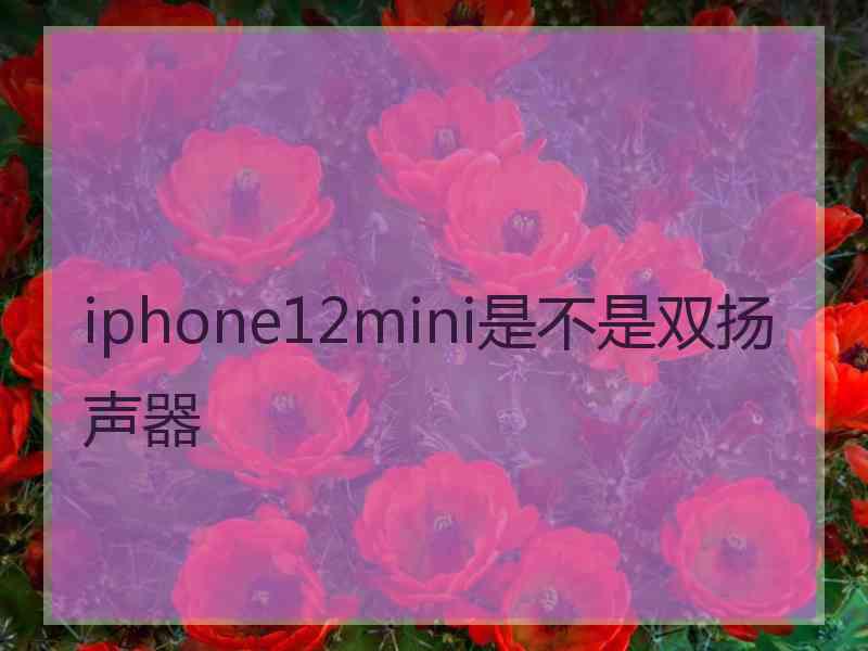 iphone12mini是不是双扬声器