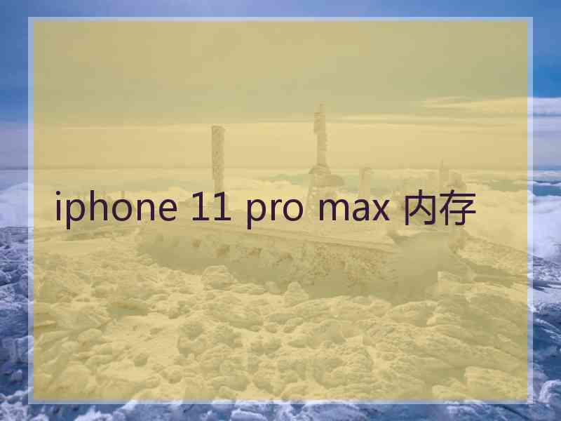 iphone 11 pro max 内存