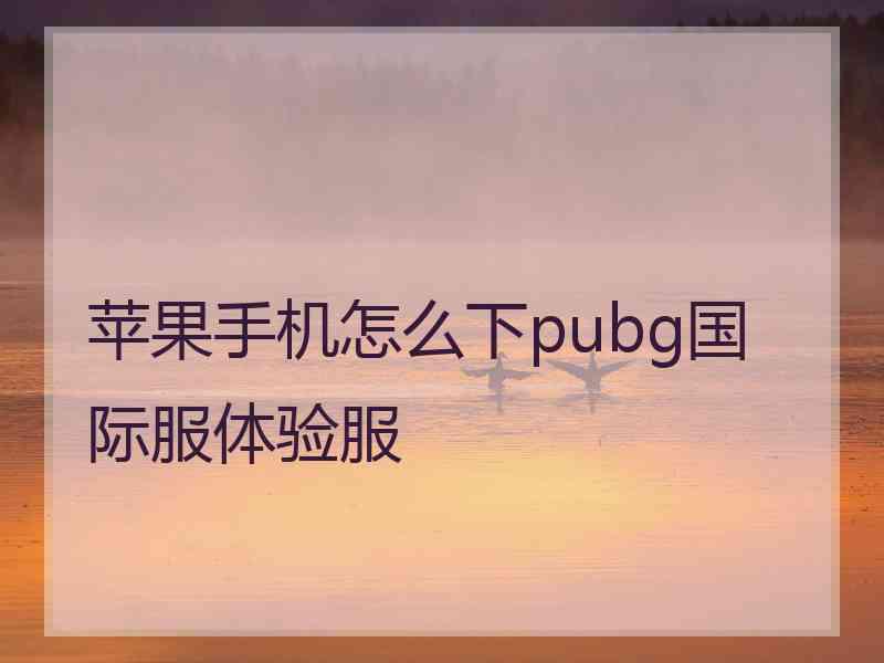 苹果手机怎么下pubg国际服体验服