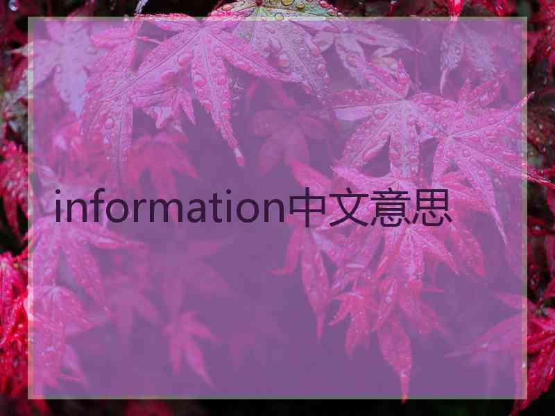 information中文意思