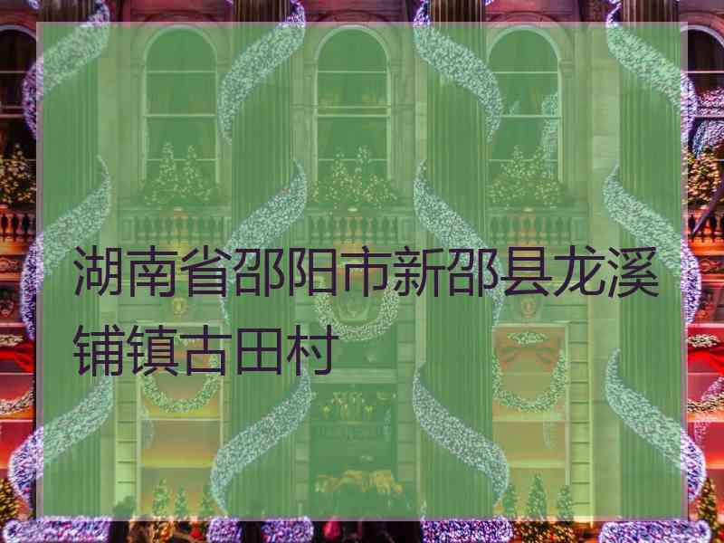 湖南省邵阳市新邵县龙溪铺镇古田村