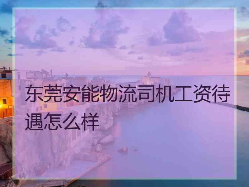 东莞安能物流司机工资待遇怎么样