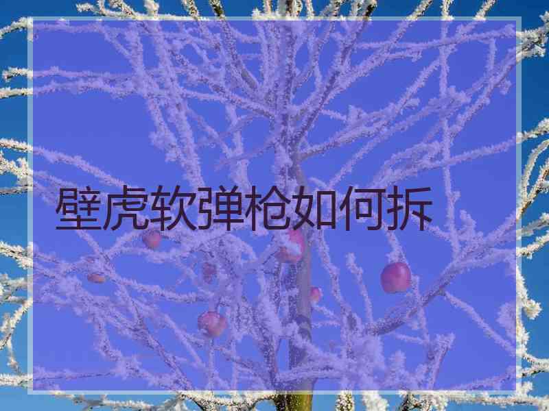 壁虎软弹枪如何拆