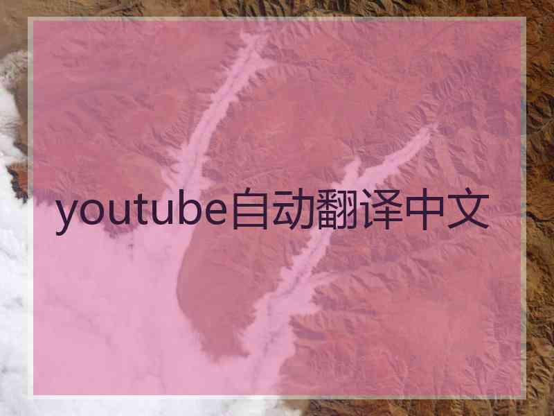 youtube自动翻译中文