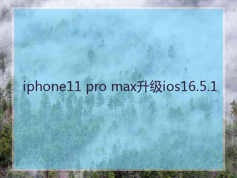 iphone11 pro max升级ios16.5.1