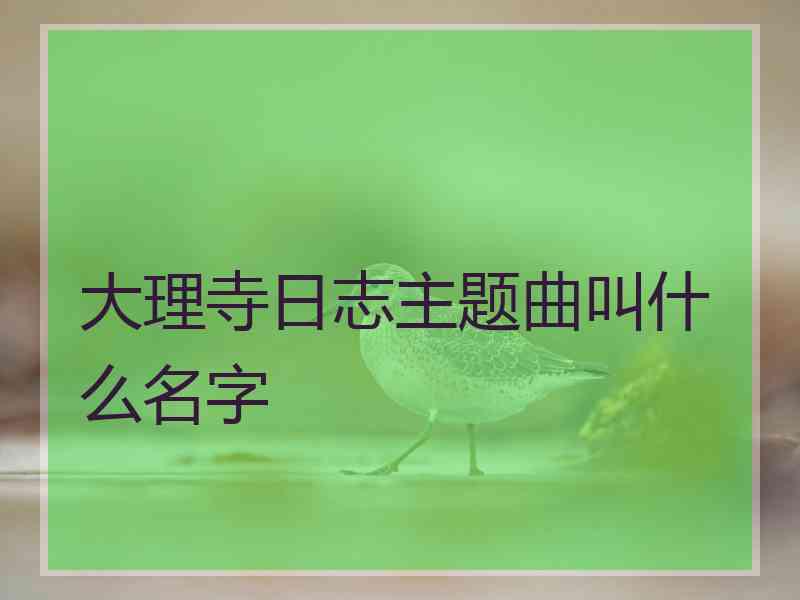 大理寺日志主题曲叫什么名字