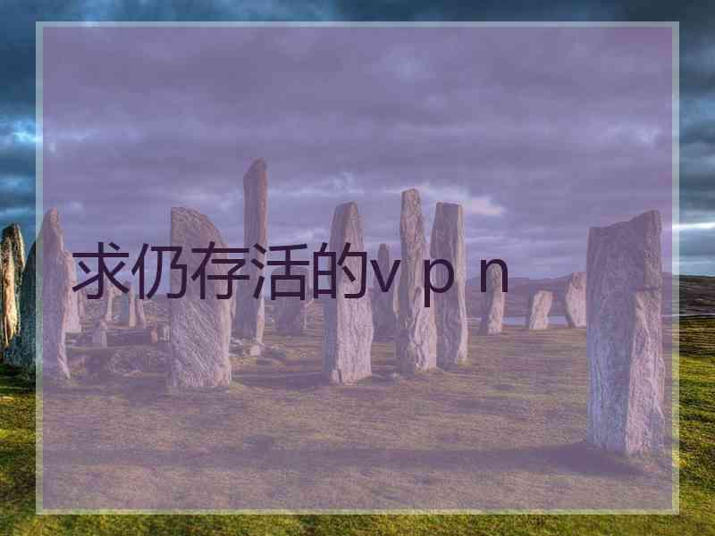 求仍存活的v p n