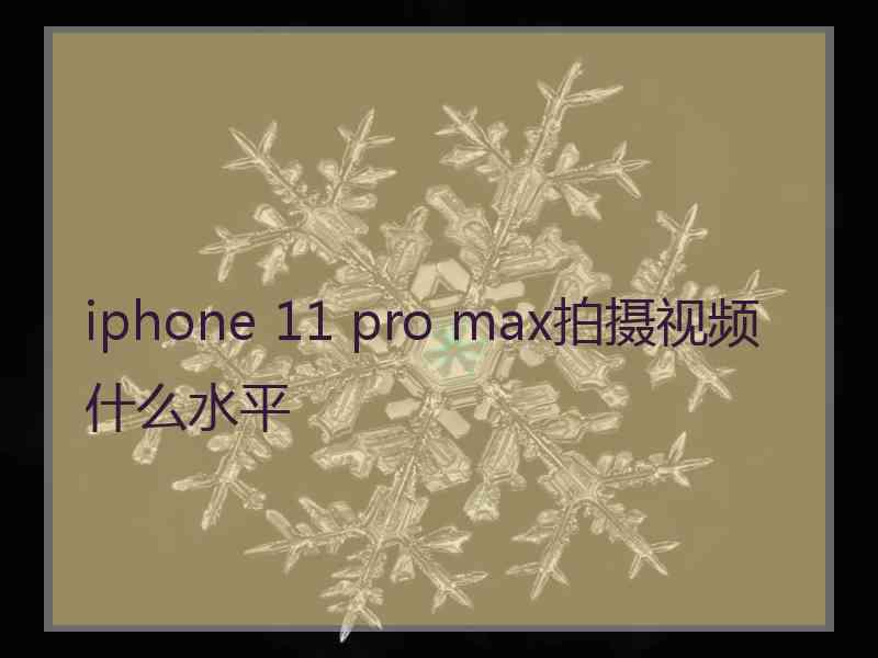 iphone 11 pro max拍摄视频什么水平