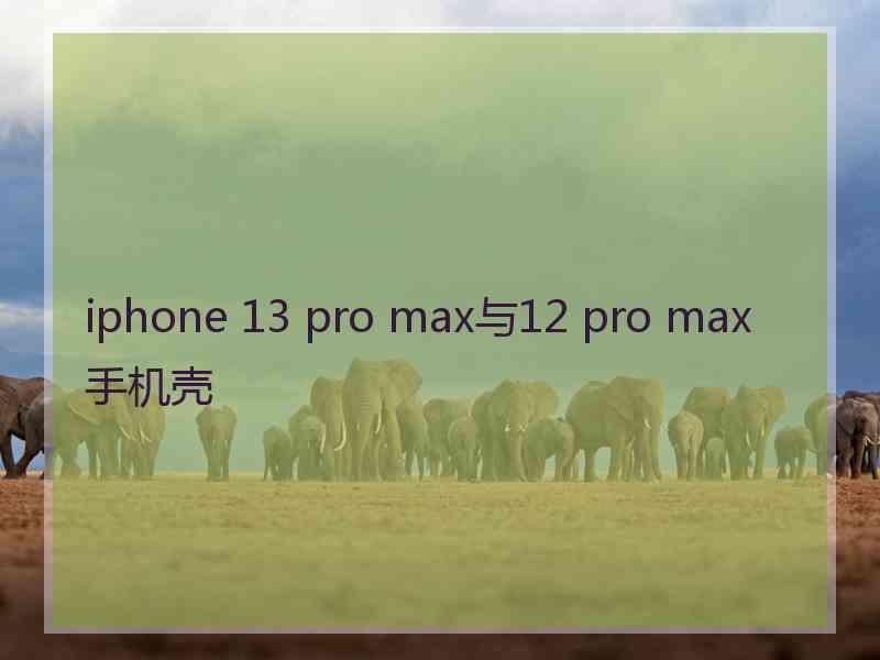 iphone 13 pro max与12 pro max手机壳