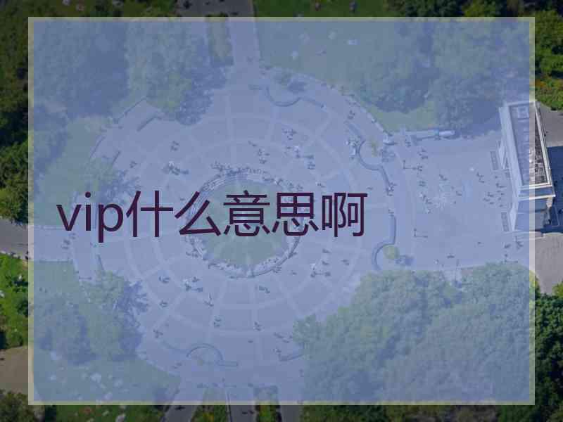 vip什么意思啊