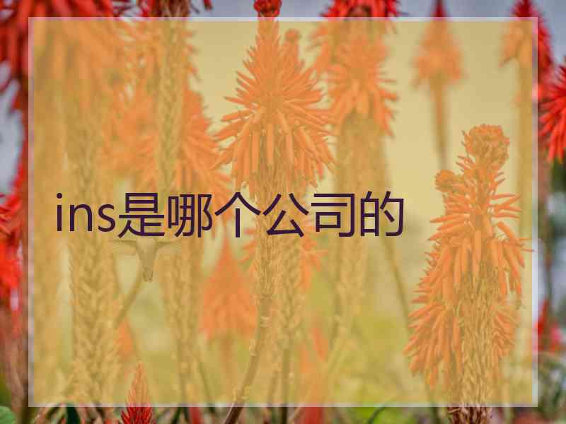 ins是哪个公司的