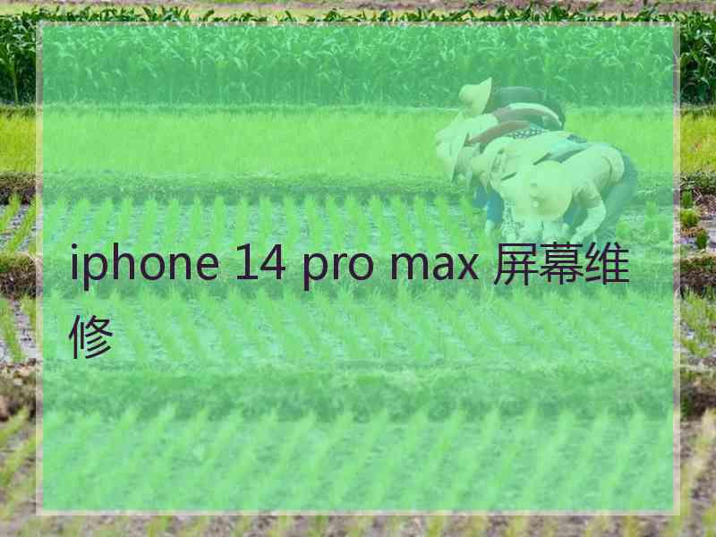 iphone 14 pro max 屏幕维修