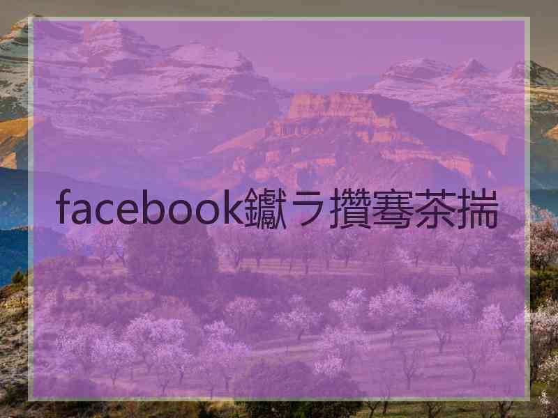 facebook钀ラ攢骞茶揣