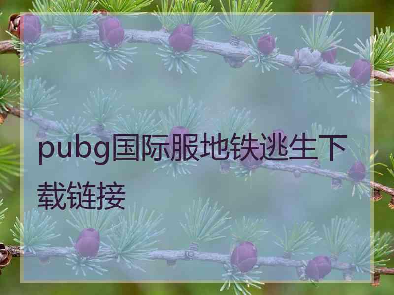 pubg国际服地铁逃生下载链接