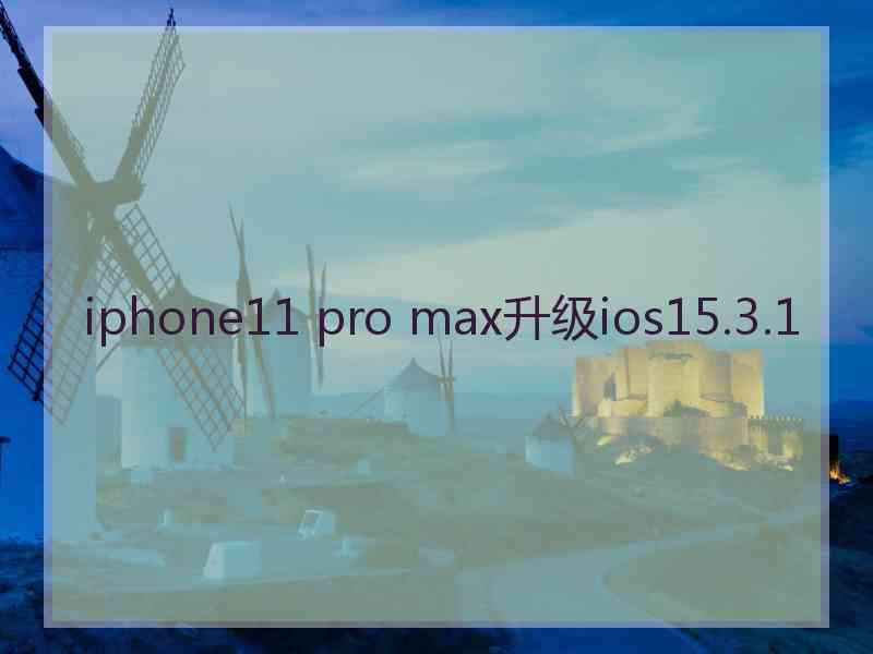 iphone11 pro max升级ios15.3.1