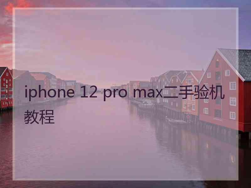 iphone 12 pro max二手验机教程