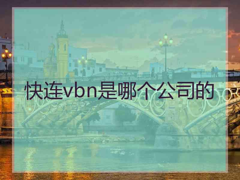 快连vbn是哪个公司的