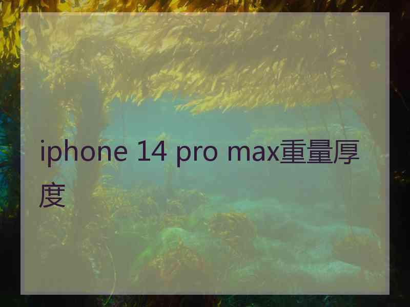 iphone 14 pro max重量厚度