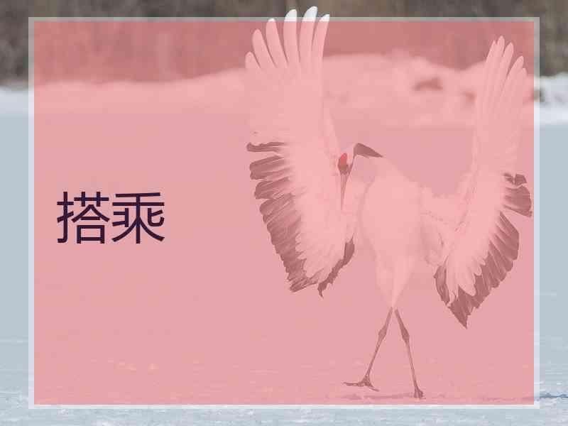 搭乘