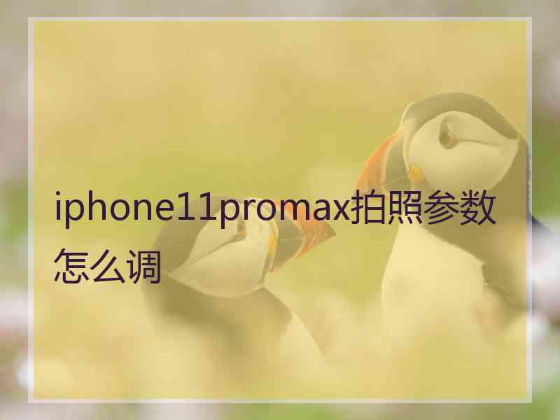 iphone11promax拍照参数怎么调