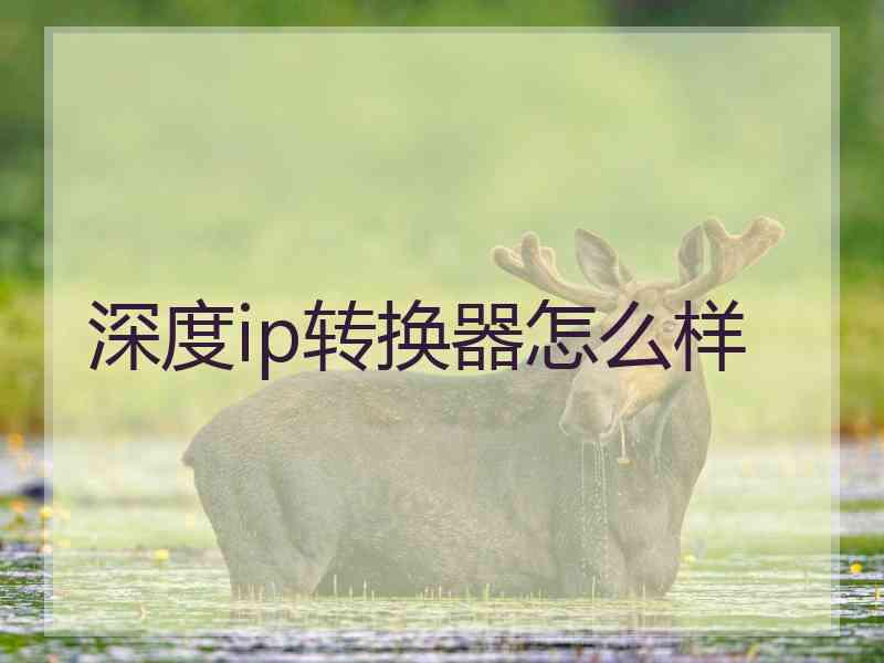 深度ip转换器怎么样