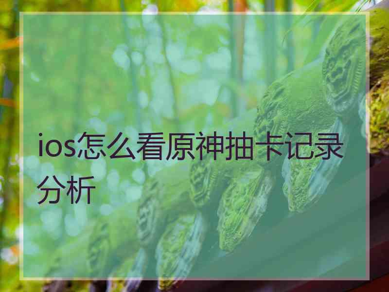 ios怎么看原神抽卡记录分析