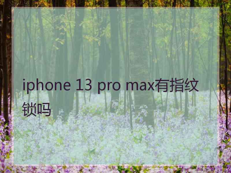 iphone 13 pro max有指纹锁吗