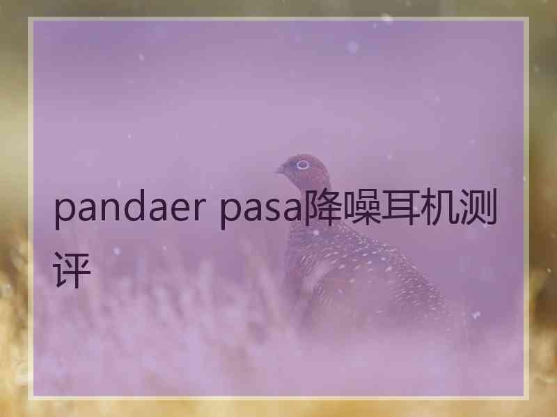 pandaer pasa降噪耳机测评