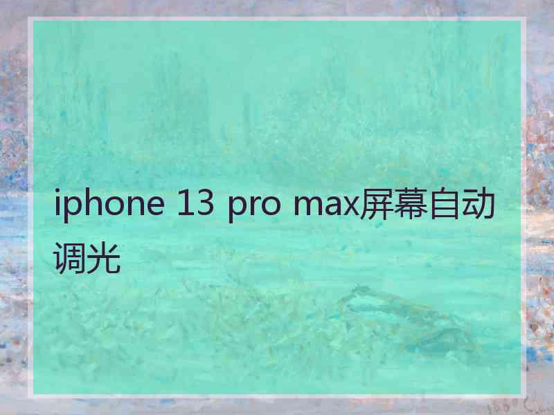 iphone 13 pro max屏幕自动调光