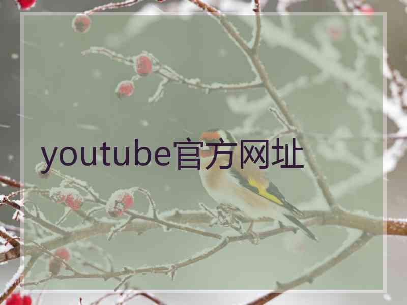 youtube官方网址