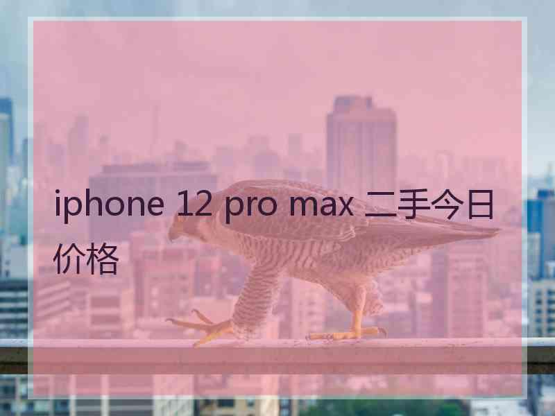 iphone 12 pro max 二手今日价格