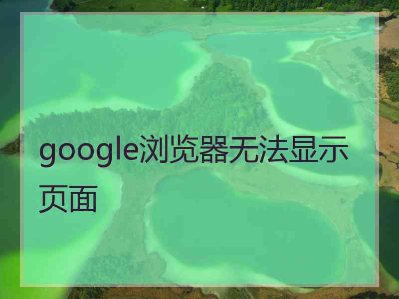 google浏览器无法显示页面