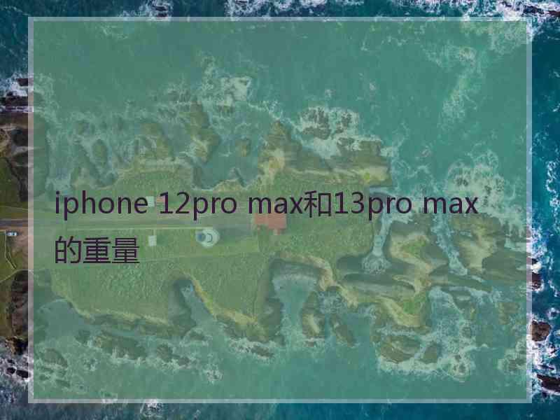 iphone 12pro max和13pro max的重量