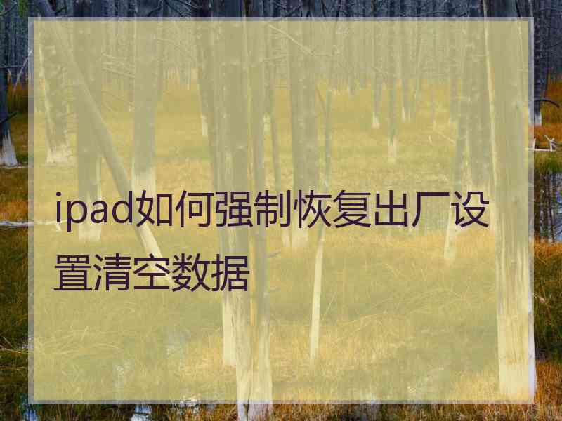 ipad如何强制恢复出厂设置清空数据