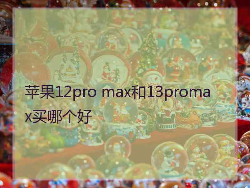 苹果12pro max和13promax买哪个好