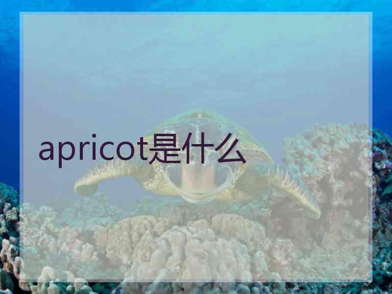 apricot是什么