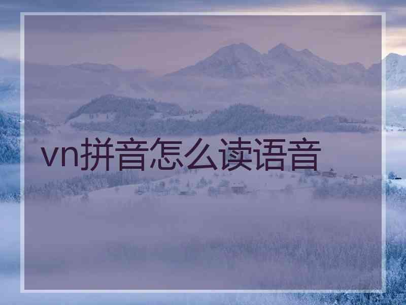 vn拼音怎么读语音